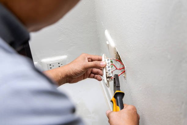 Best Local Electrician Companies  in Egypt, AL