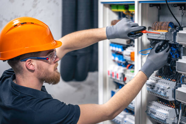 Best Electric Panel Repair  in Egypt, AL